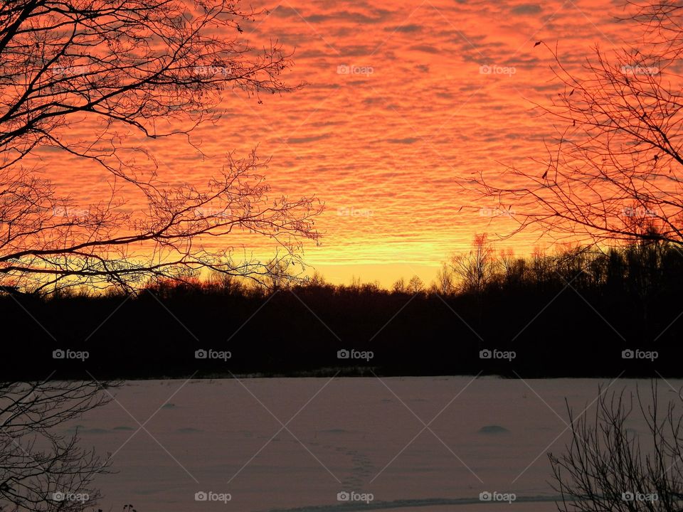 sunnset over the field