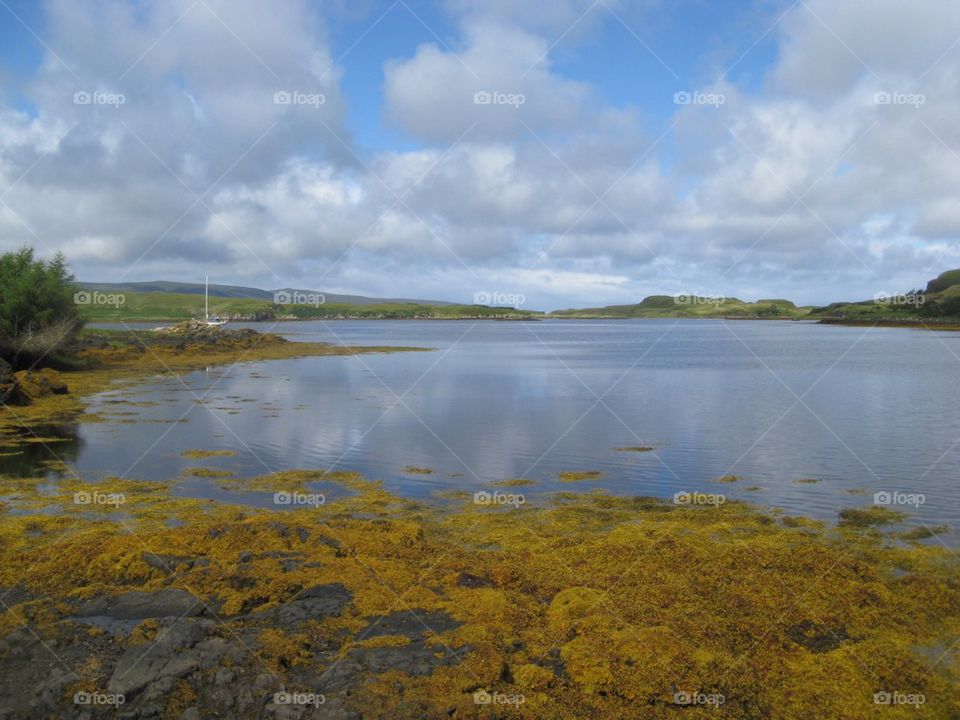 Scottish Lake