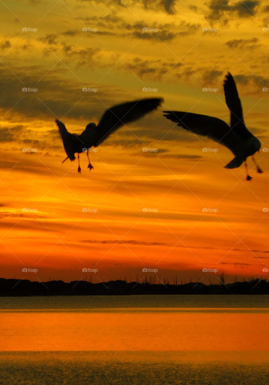 Incredible Sunset! There is nothing as diverse as nature itself. It is a beautiful place; and it is everywhere. I am a haunter of nature who loves its beauty and solitude. Take a deep breath, relax, open your eyes, and enjoy the ride through my beautiful world of nature!