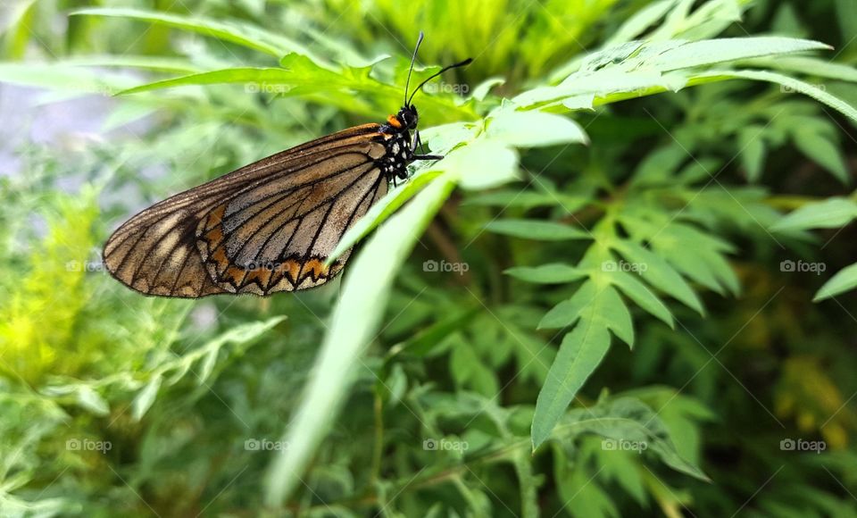 Be peaceful for all 😍