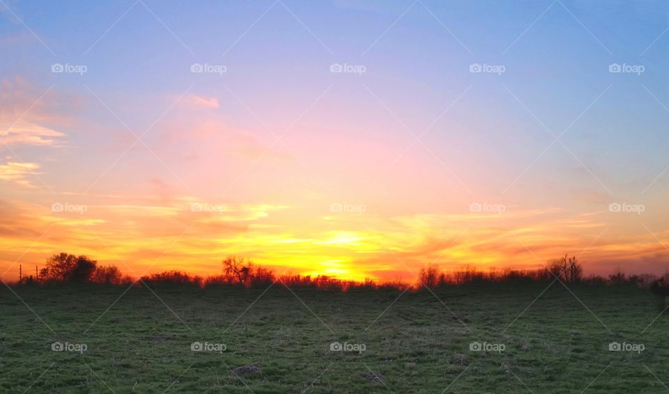 golden hour mission. beautiful fields behind my house