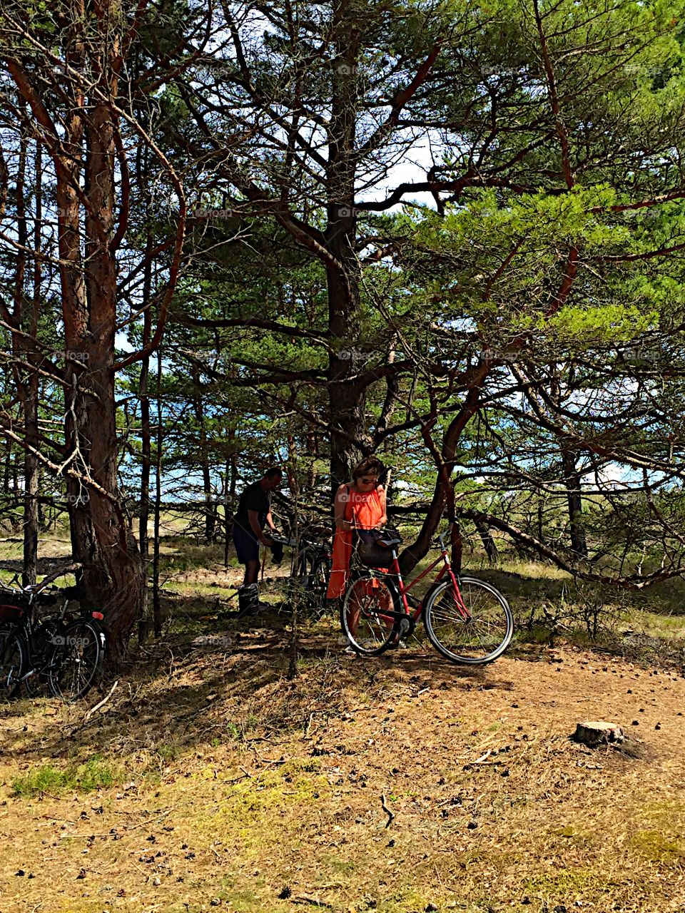 Get their bikes among the trees!