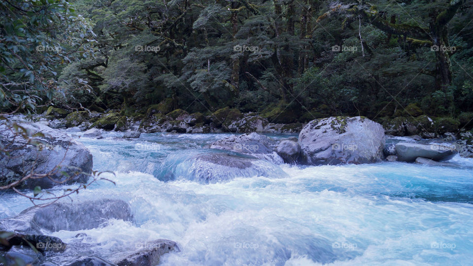 River in New Zealand 