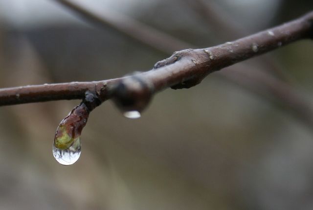 Drop