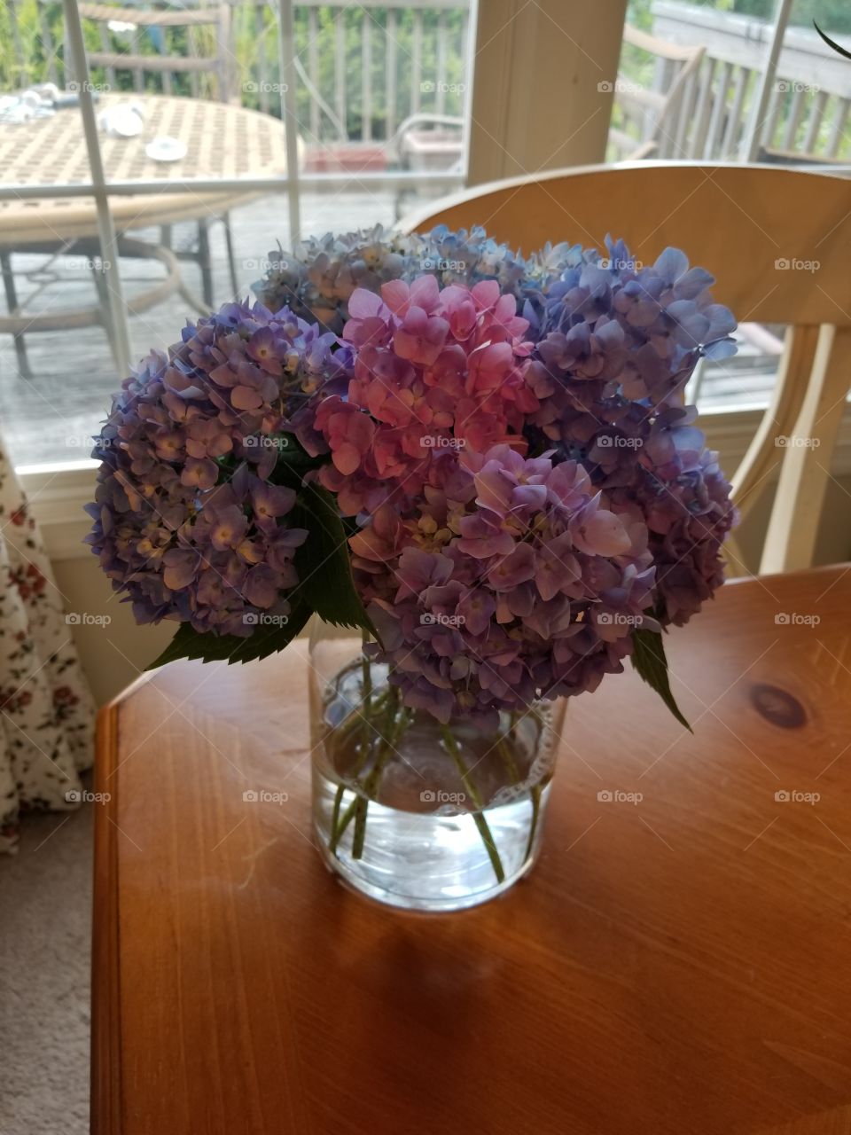 hydrangeas in vase