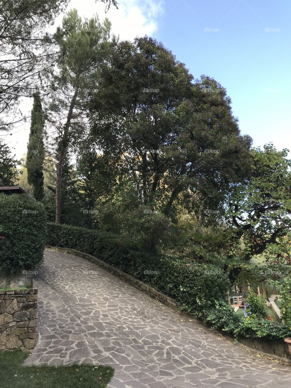 Countryside in Florence, Italy