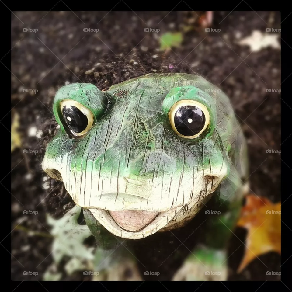 Ribbit