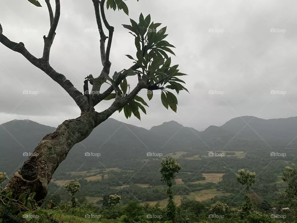 Mountain 