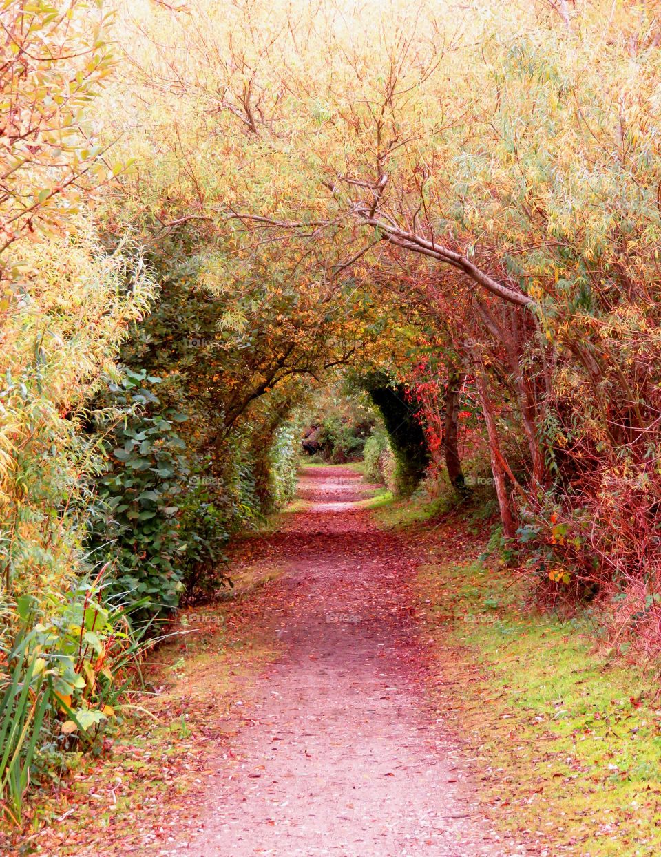 green arch