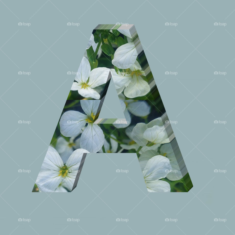 A alphabet 3d rendering of vertical white flowers alphabet