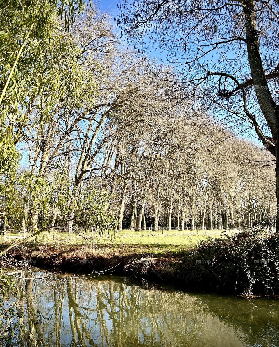 Parc Richelieu , France February 2023 . 