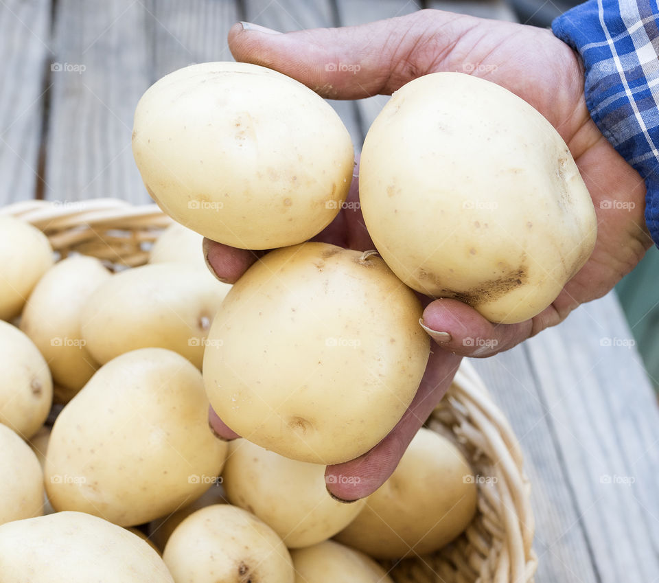 Three Potatoes in a man's hand.