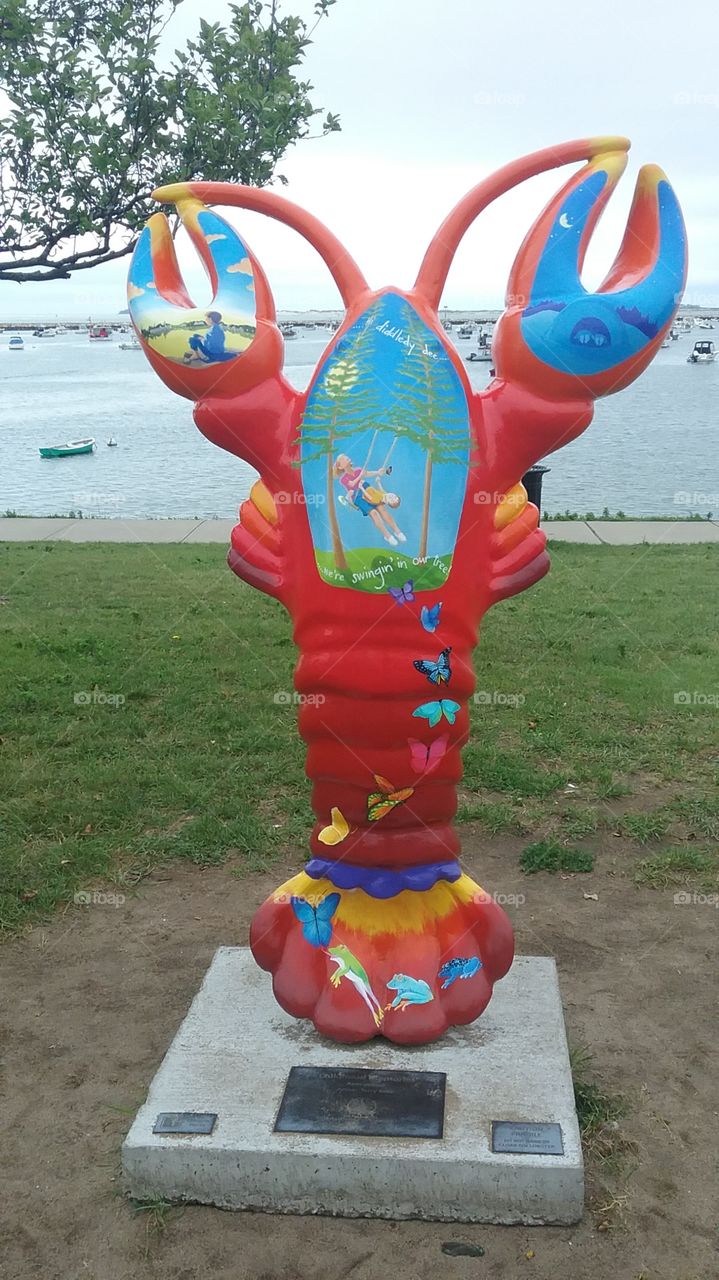 Painted Lobster of Plymouth,  Massachusetts 2