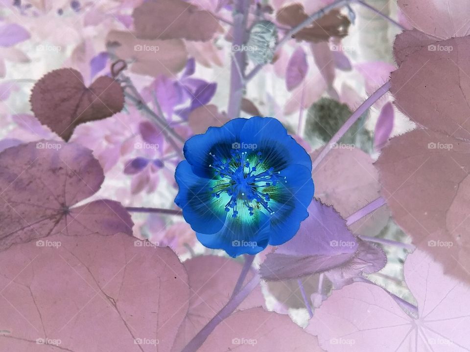 playing with filter lights