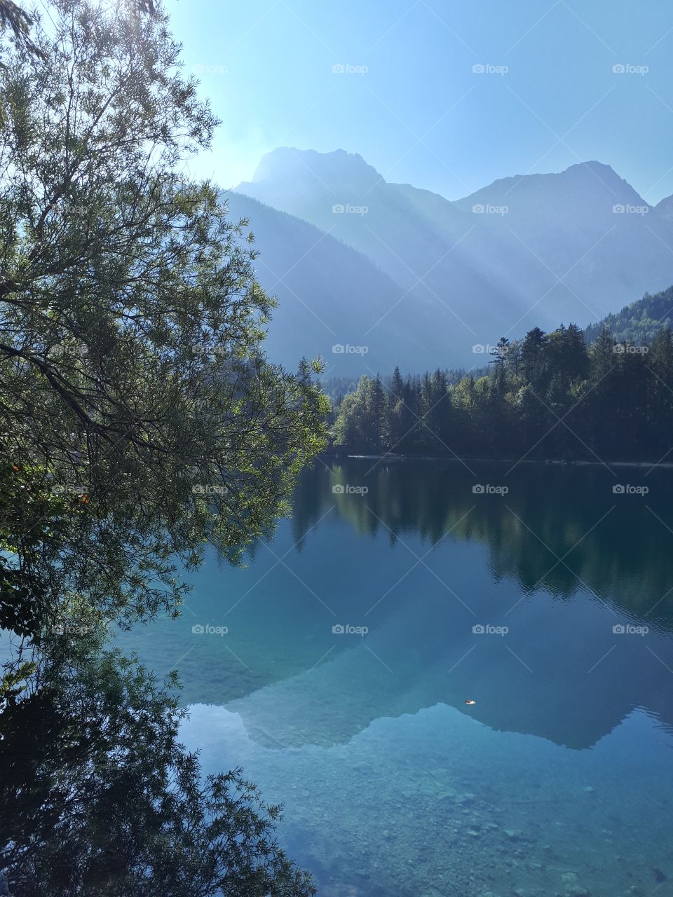Vorderer Langbathsee