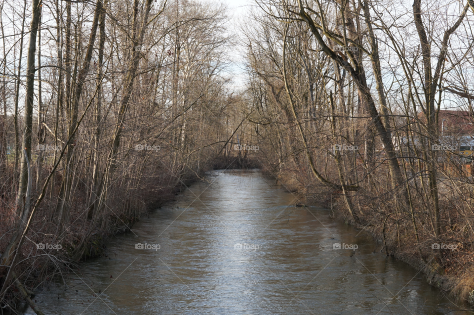 Flood, Landscape, Wood, Water, River