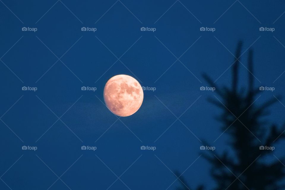 Strawberry Moon 2021
