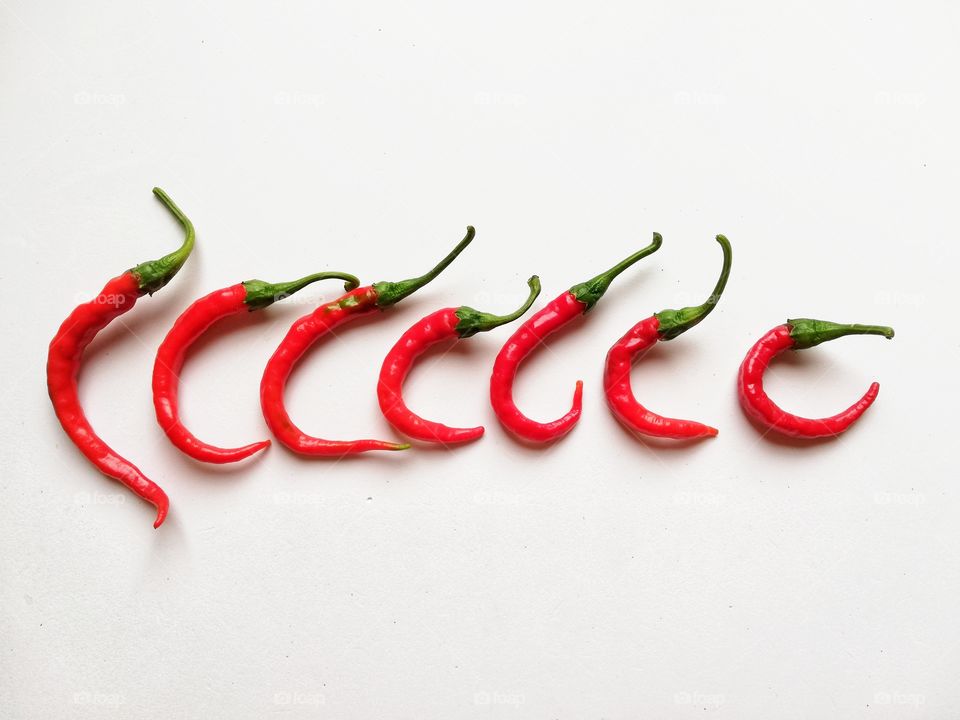 Spicy red chillies in a row on white background