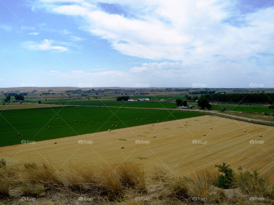 field agriculture harvest hay by refocusphoto