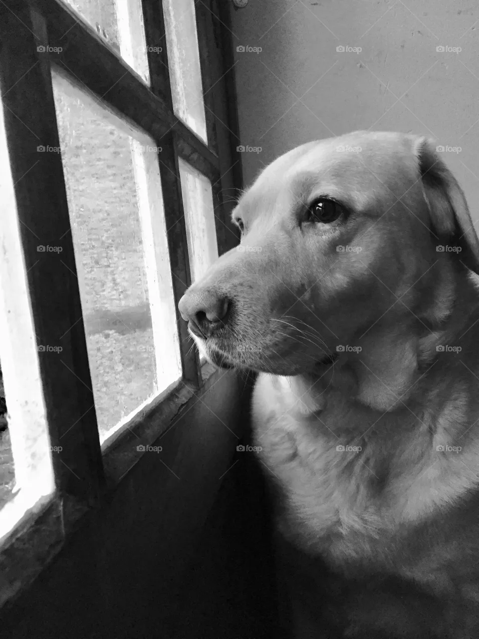 I’m so sad...