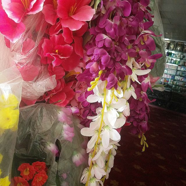 nice flowers