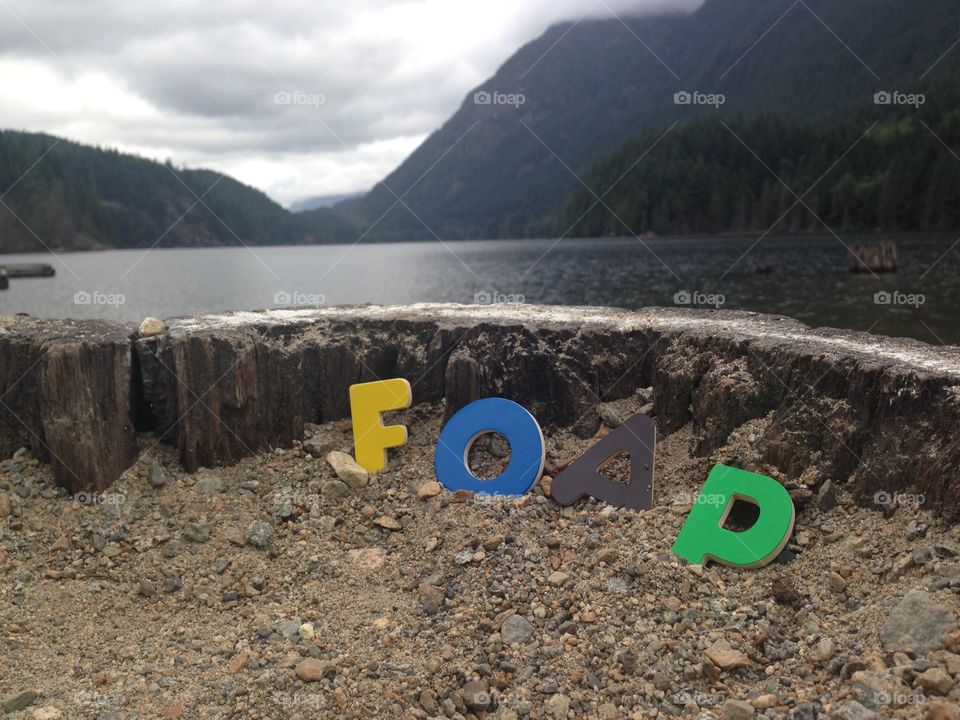 Foap!. Foap on an old growth forest tree stump at lake in early morning