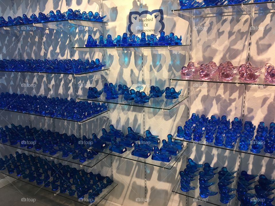 There’s the blue birds, grey birds, pink birds and green birds yellow ones too! 