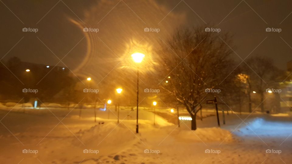A park in Oslo'In'Norway