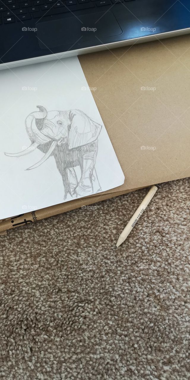 elephant scetch Screwfix pencil