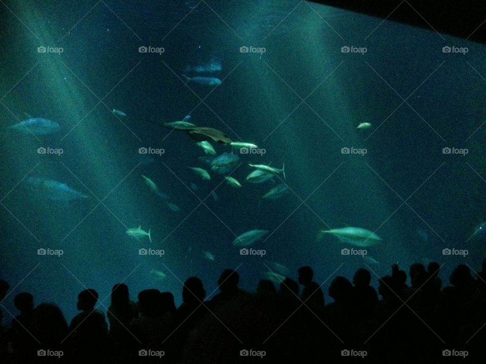 people nature travel color by itsAus