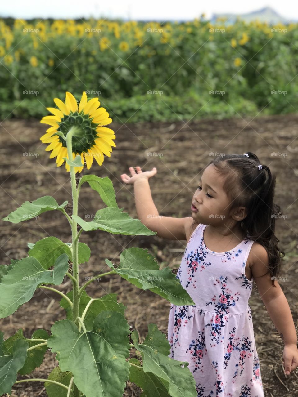 Curious toddler. Undecided if she want to touch the flower or not :) 