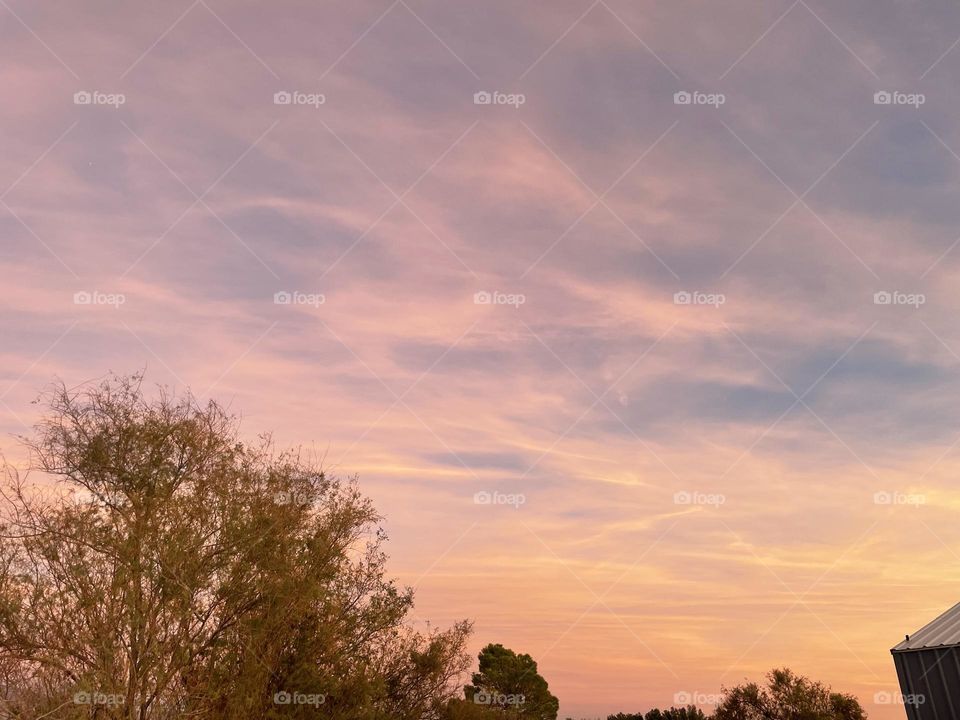 A photo of a sky full of pink and orange clouds with trees in the frame.