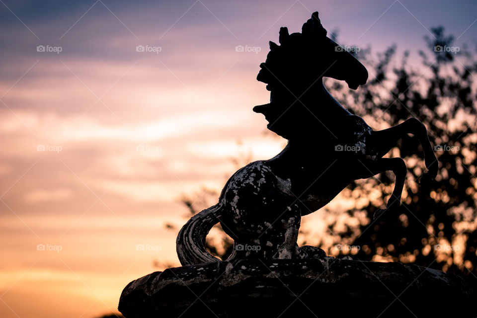 Horse in evening sky silhouette 