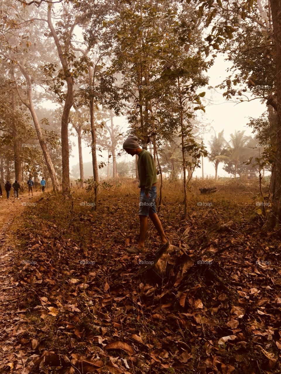 If there's one place we go above all others when we need to relax it's the forest. You could say we were lovers of forest bathing before that was even a thing! 