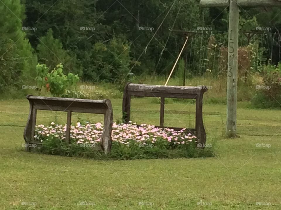 Bed of flowers 