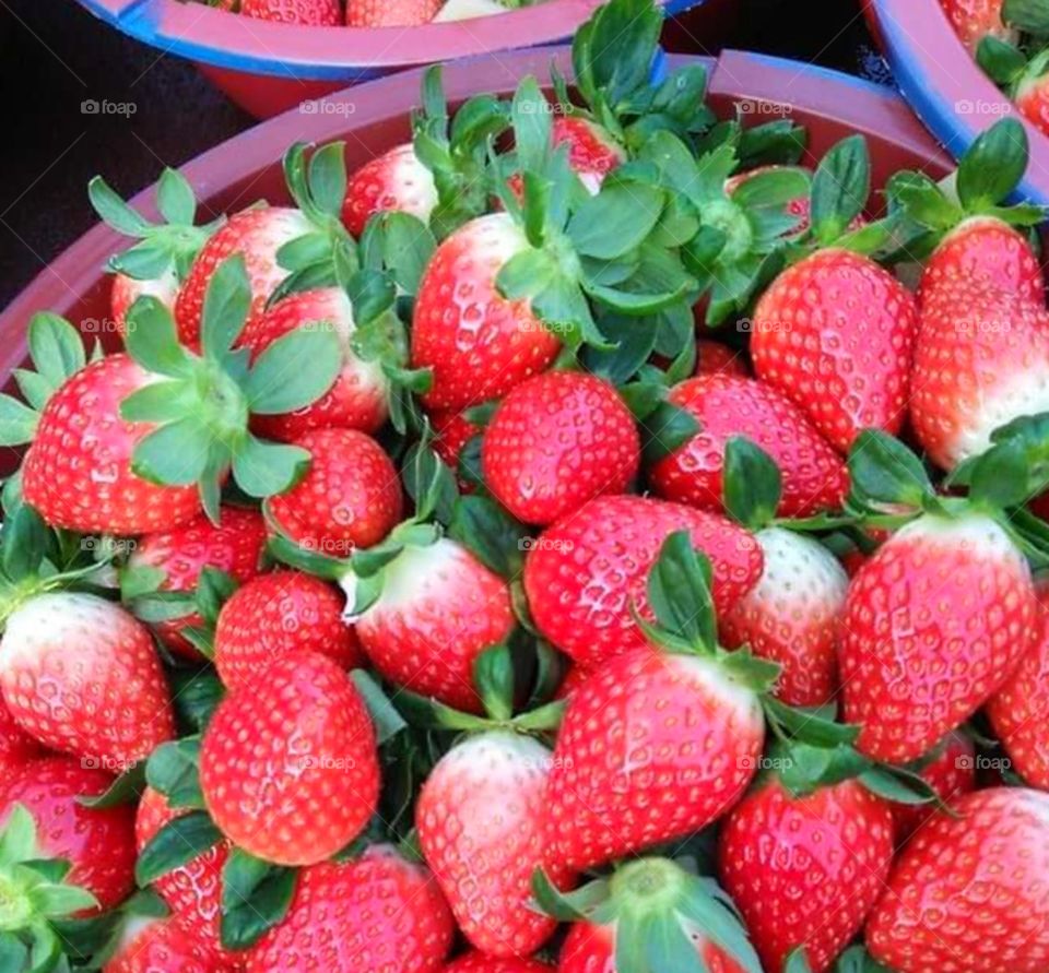 strawberry on the fram