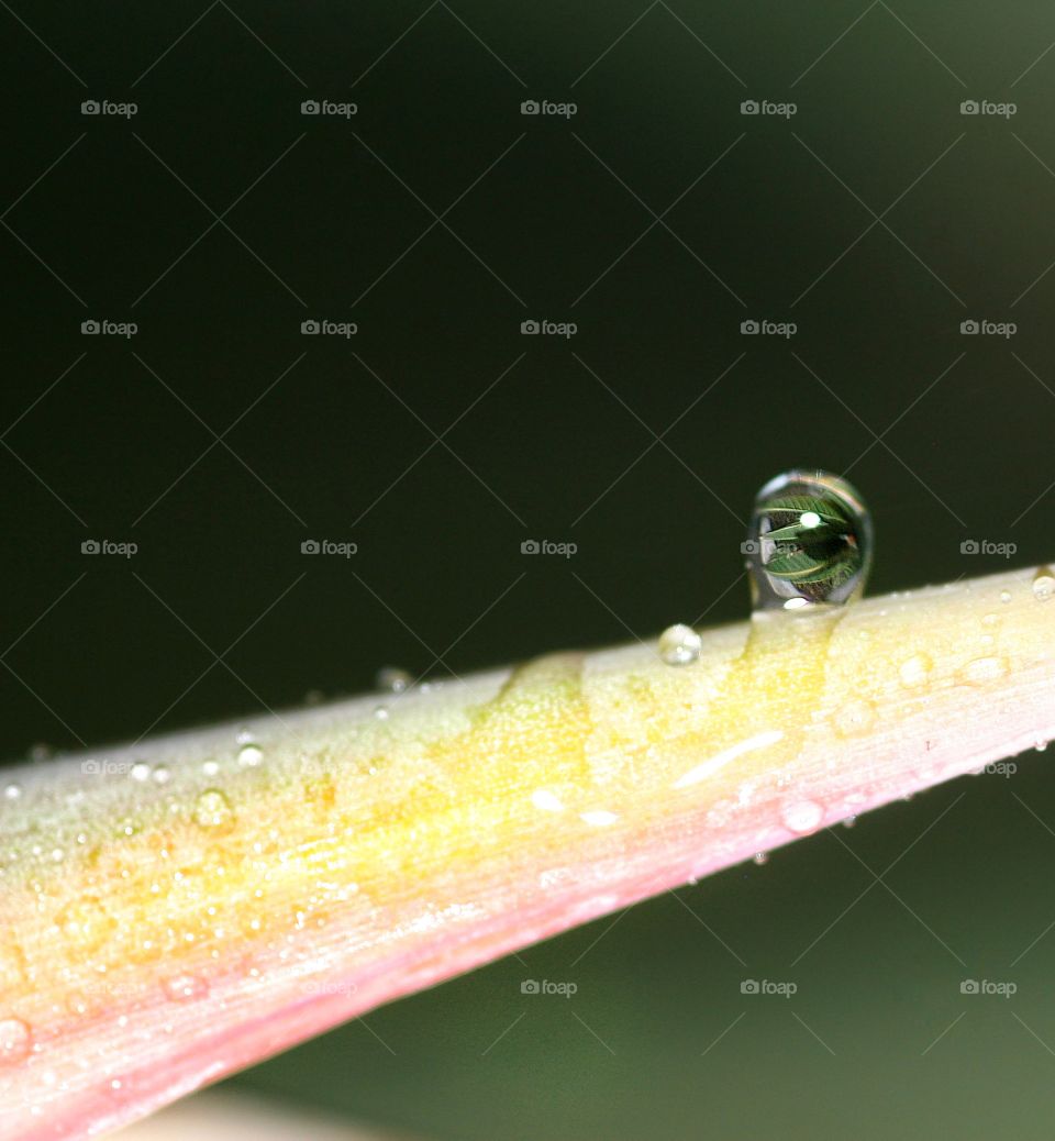 Rain Droplet in Detail