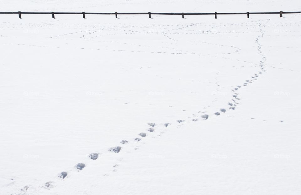 Footsteps in the snow .