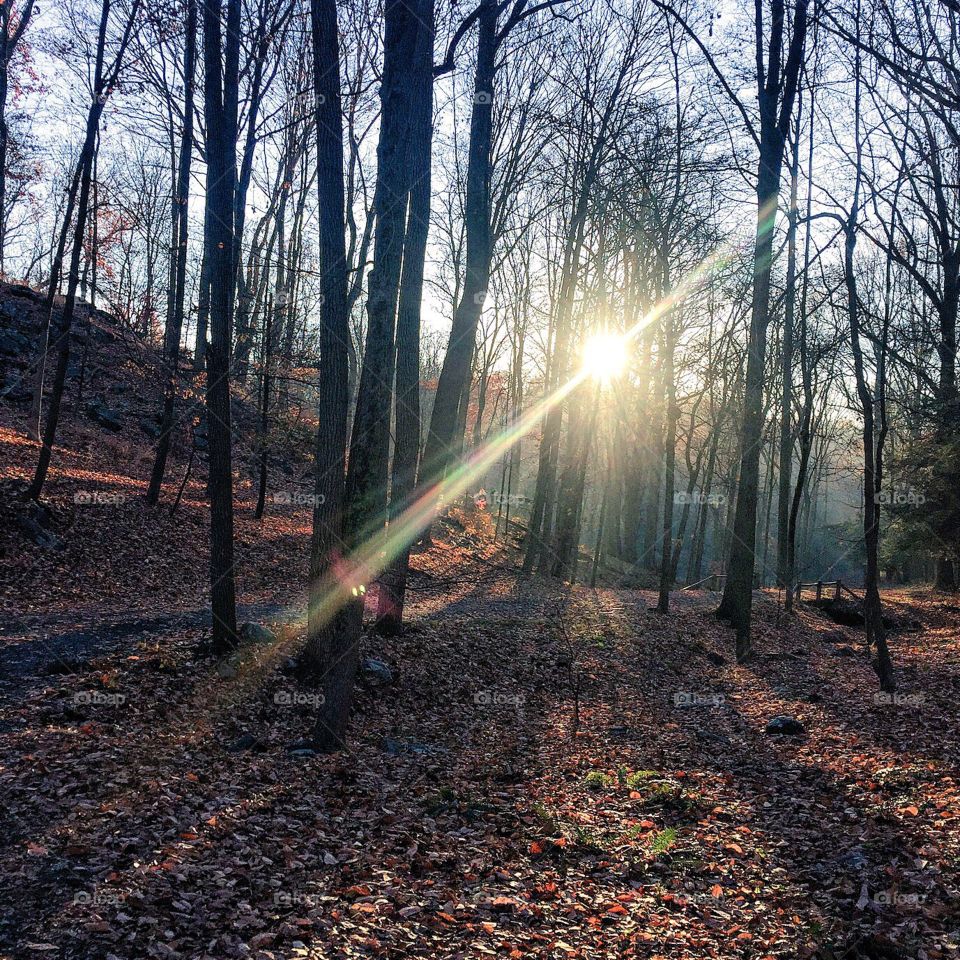 "Fate whispers to the warrior 'You cannot withstand the storm.', the warrior whispers back 'I am the storm.' " - unknown quote