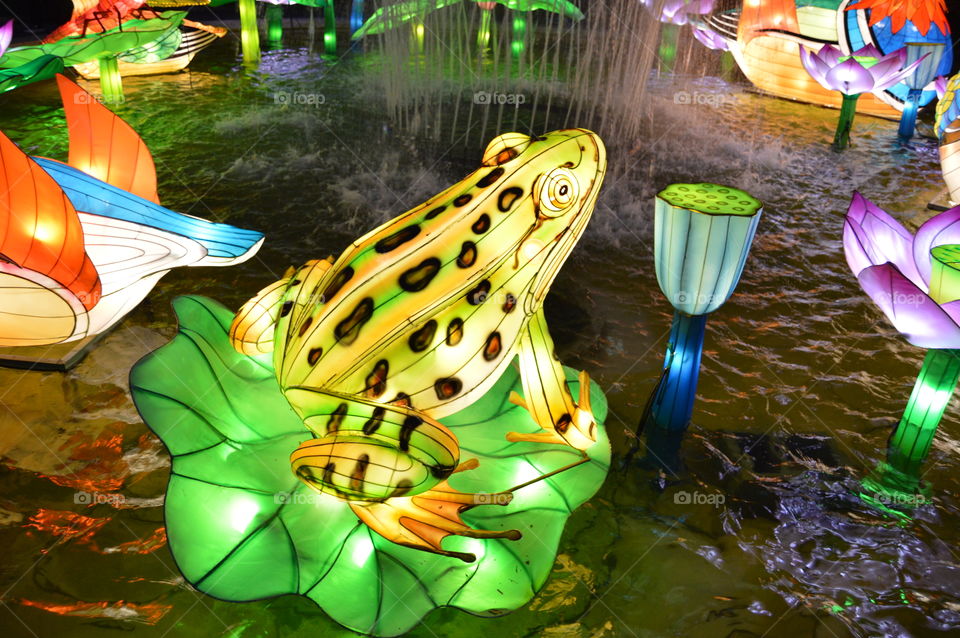 Frog made from silk at the Chinese light festival