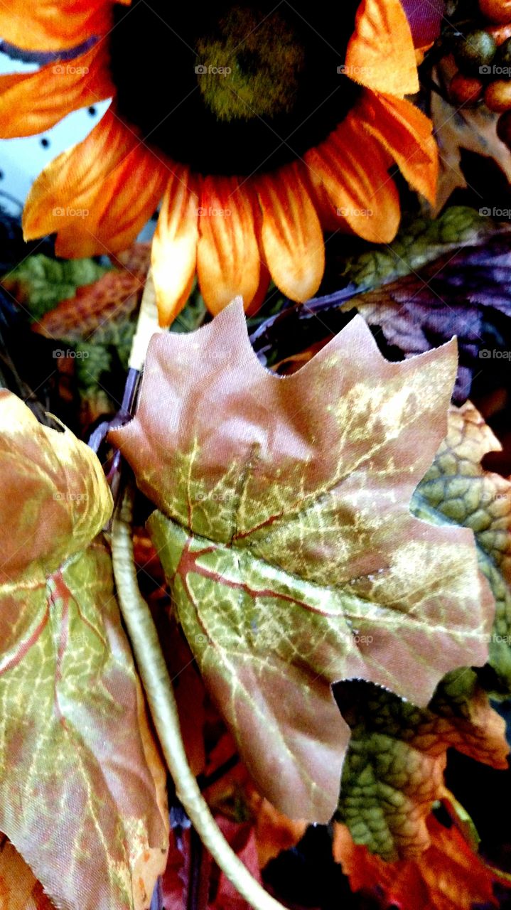 leaf flower petals fall orange brown purple