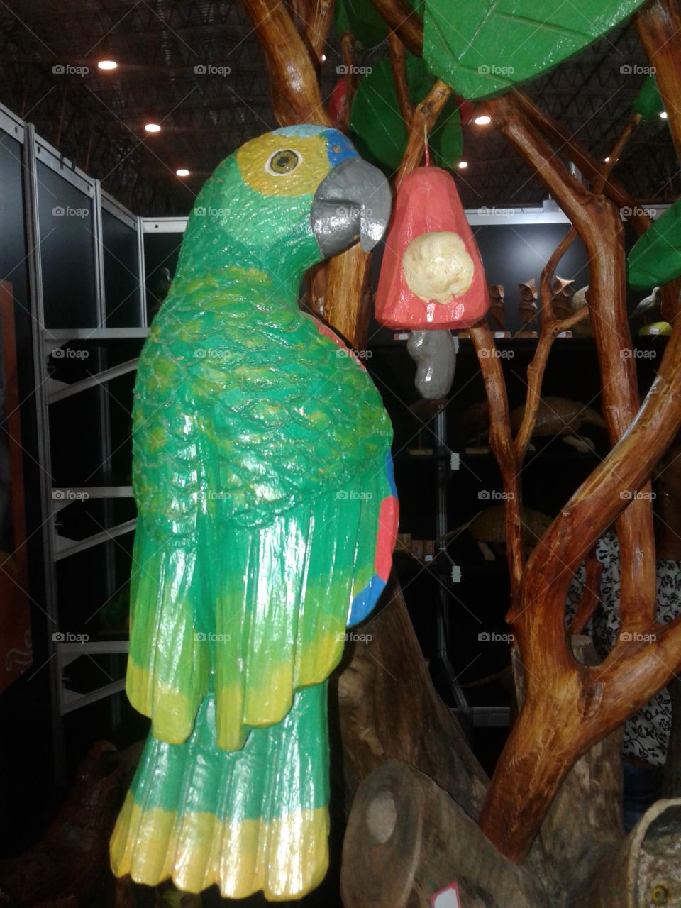papagaio comilao