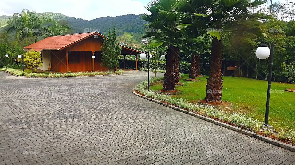 ÁRVORES CADA CHÁCARA