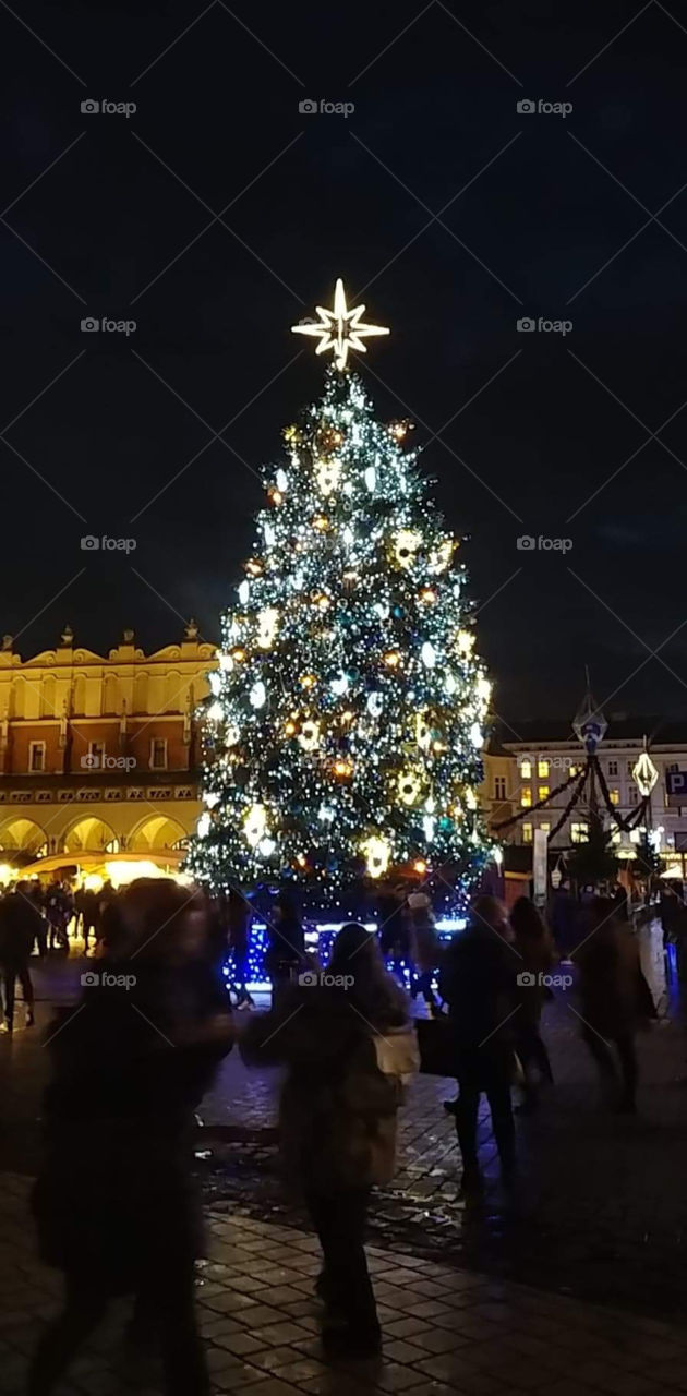 Beautiful Christmas tree in Krakow Poland 