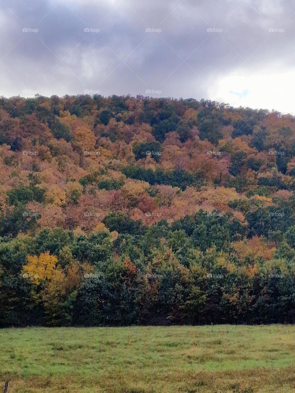 autumn colors