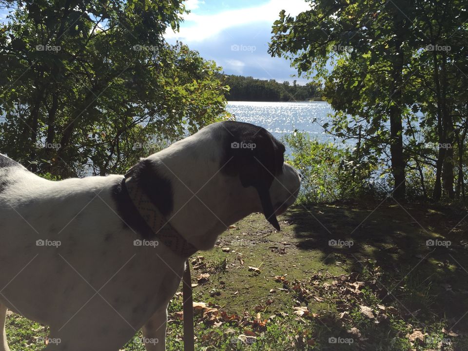 I think I left something behind 