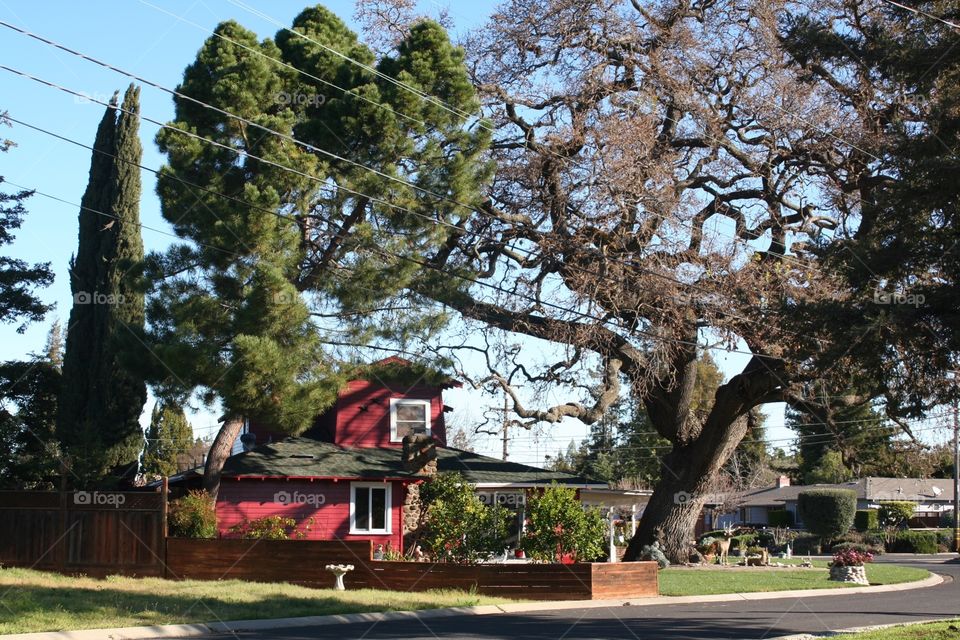 Landscape. Red House 