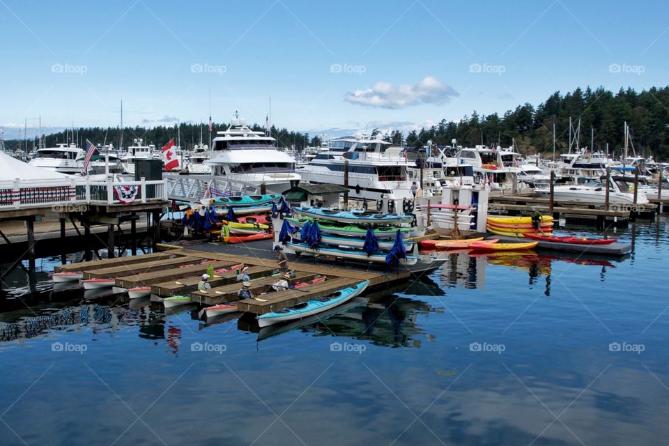 Kayaks in the marina