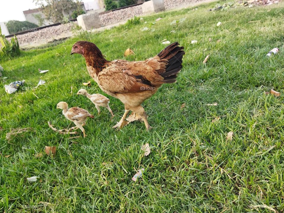 I m not photogenic leave me