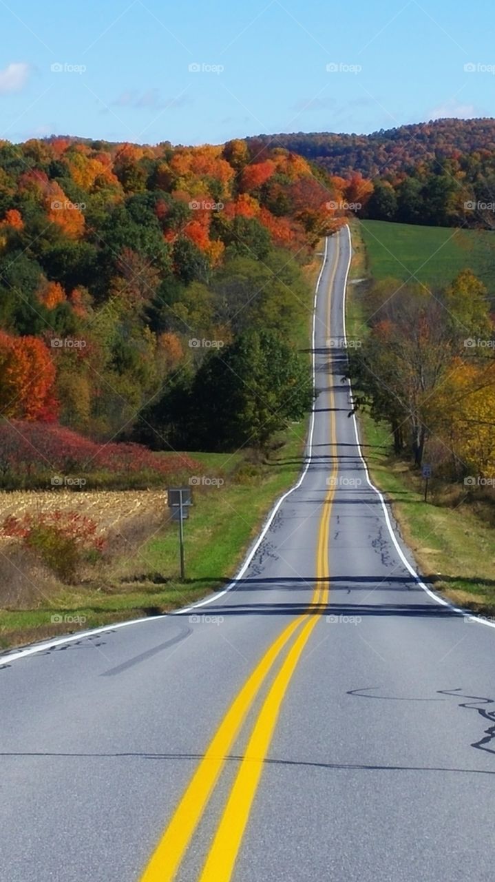 Autumn Road